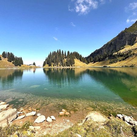Alpine Dream Chalet With Spa Close To Lake Geneva Les Mosses Экстерьер фото