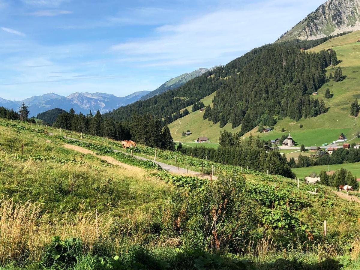 Alpine Dream Chalet With Spa Close To Lake Geneva Les Mosses Экстерьер фото