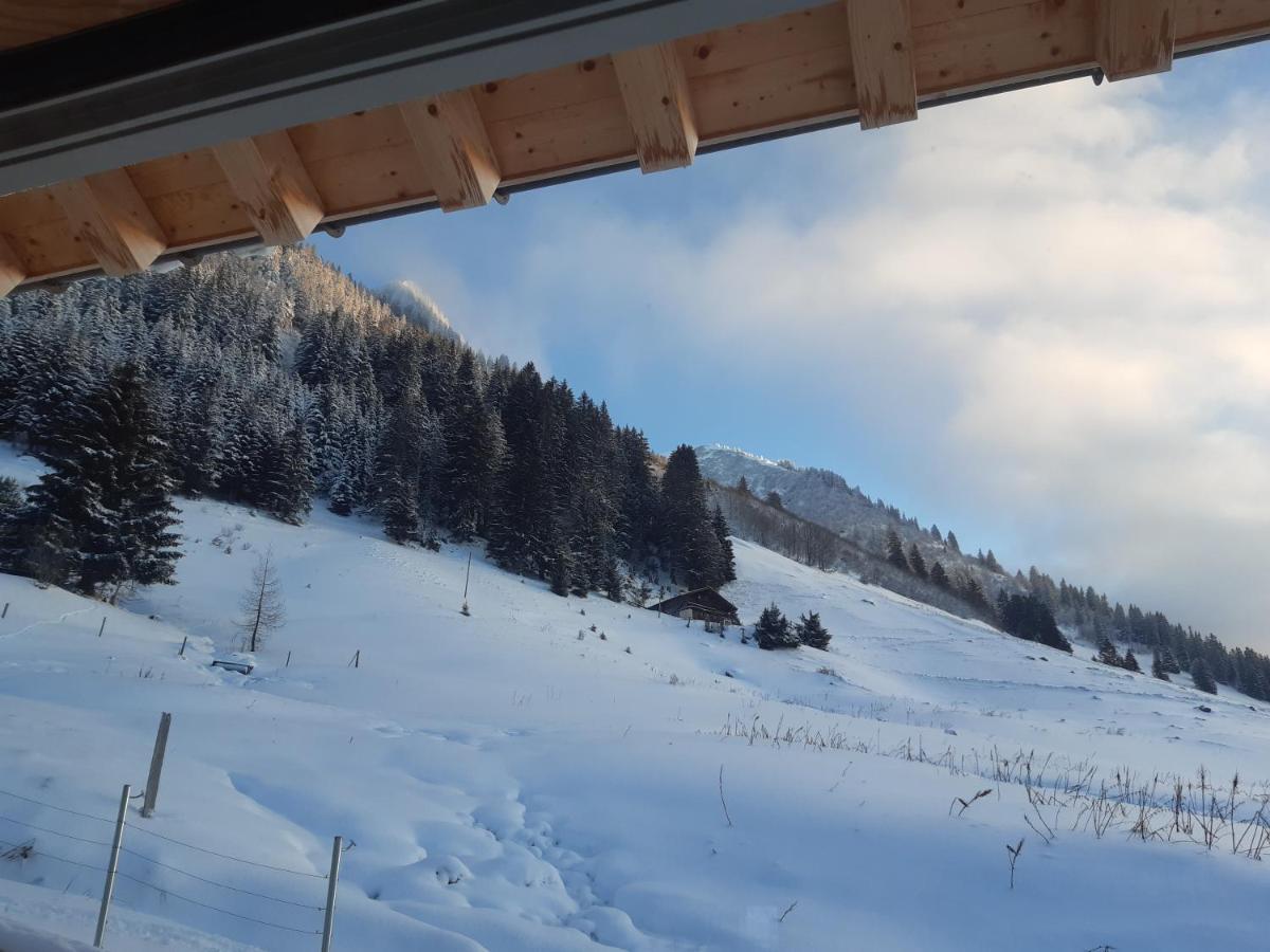 Alpine Dream Chalet With Spa Close To Lake Geneva Les Mosses Экстерьер фото